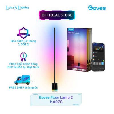 Govee Floor Lamp 2 H607C